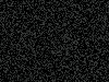 Starlight Black Panel